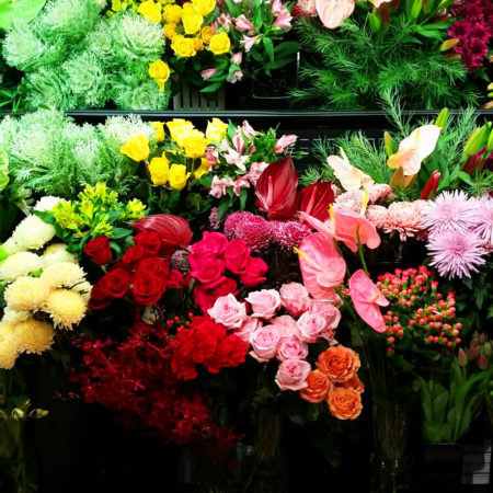 9-florist-choice-450x450.jpg