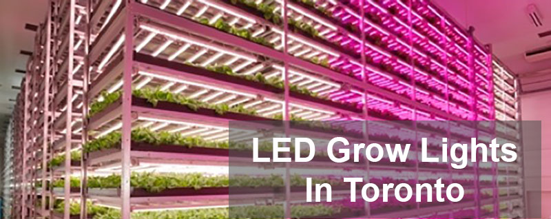 indoor-grow-led-offers